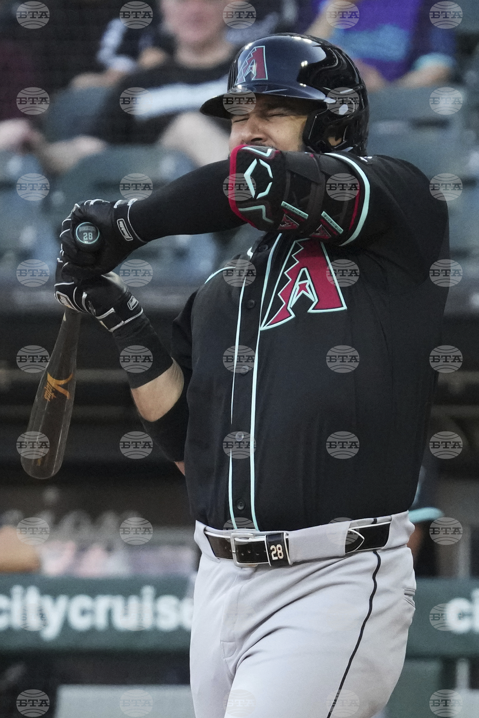 Diamondbacks White Sox Baseball