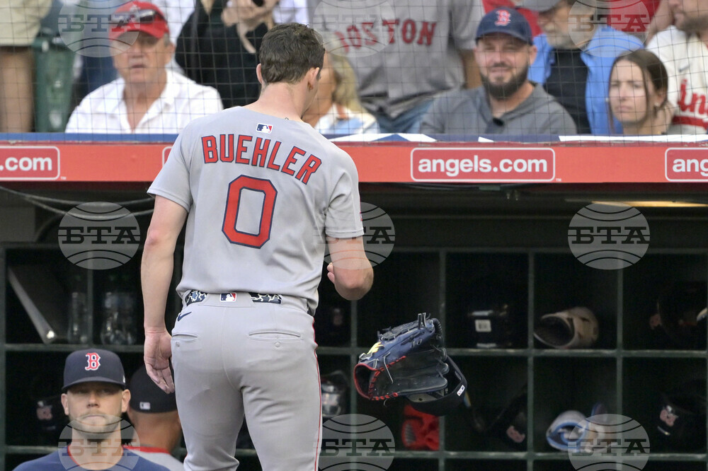Red Sox Angels Baseball