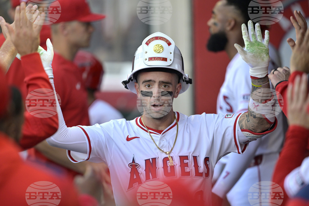Red Sox Angels Baseball