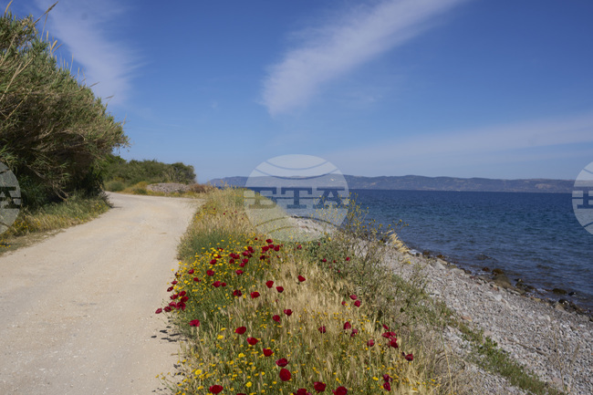 Гърция започва туристическа кампания в социалните мрежи; ще използва авторско съдържание на инфлуенсъри 