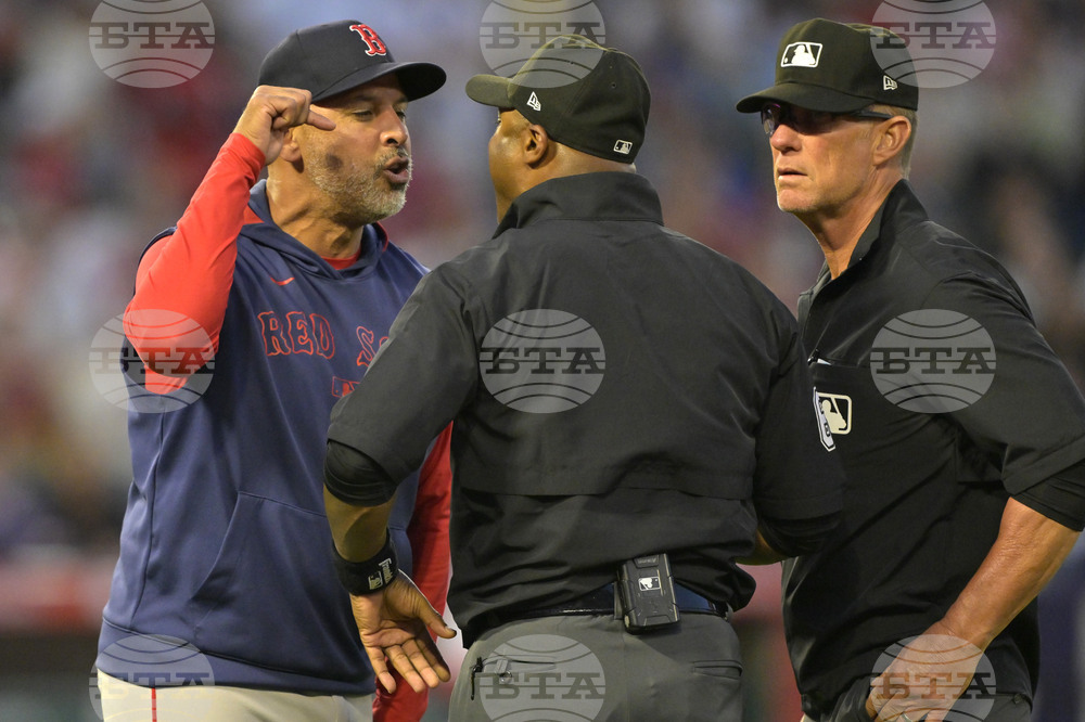 Red Sox Angels Baseball