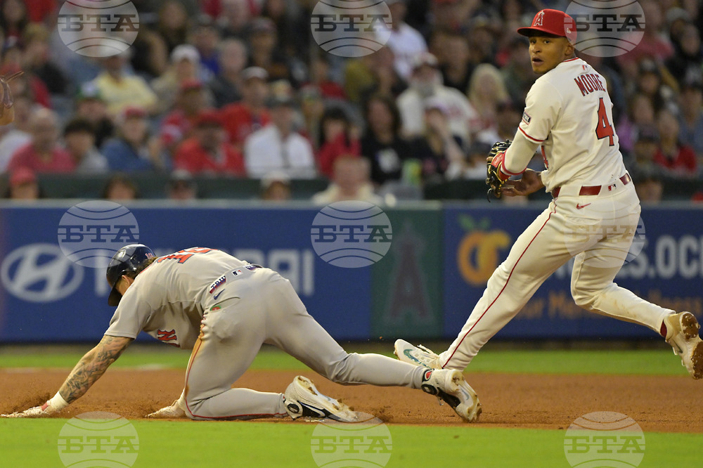 Red Sox Angels Baseball