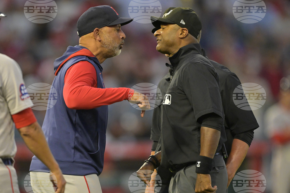 Red Sox Angels Baseball