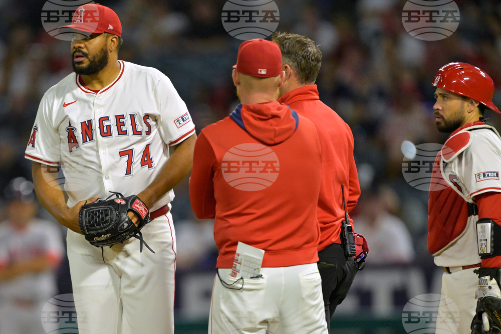 Red Sox Angels Baseball
