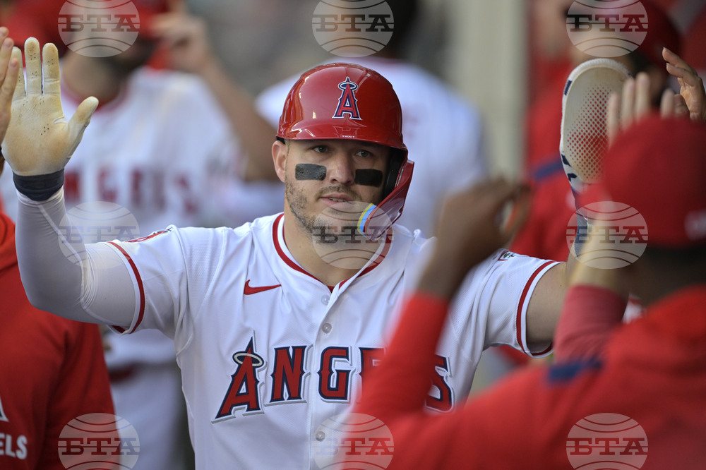 Red Sox Angels Baseball