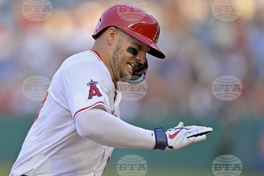 Red Sox Angels Baseball