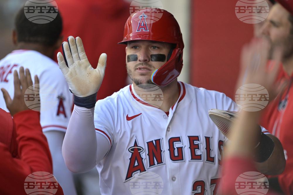 Red Sox Angels Baseball