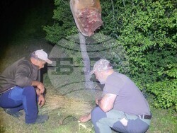 Експерти от Национален парк  "Централен Балкан" изследват района за нови следи