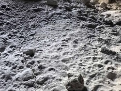 Експерти от Национален парк  "Централен Балкан" изследват района за нови следи