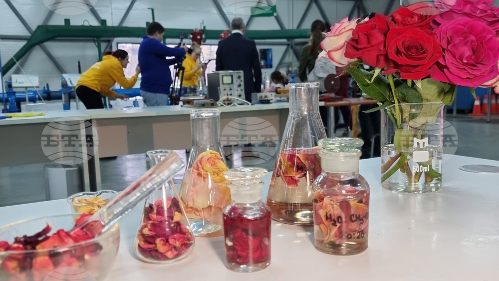 Rose Scented Experiments Are Part of Timisoara's European Capital of Culture Opening Event
