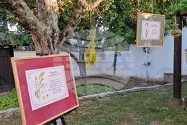 Разград - фестивал - Бели нощи