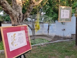 Разград - фестивал - Бели нощи