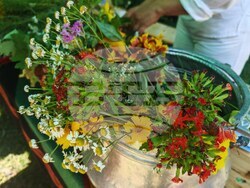 Габрово - Етър - Еньовден