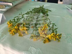 Габрово - Етър - Еньовден