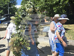 Добрич - Еньовден