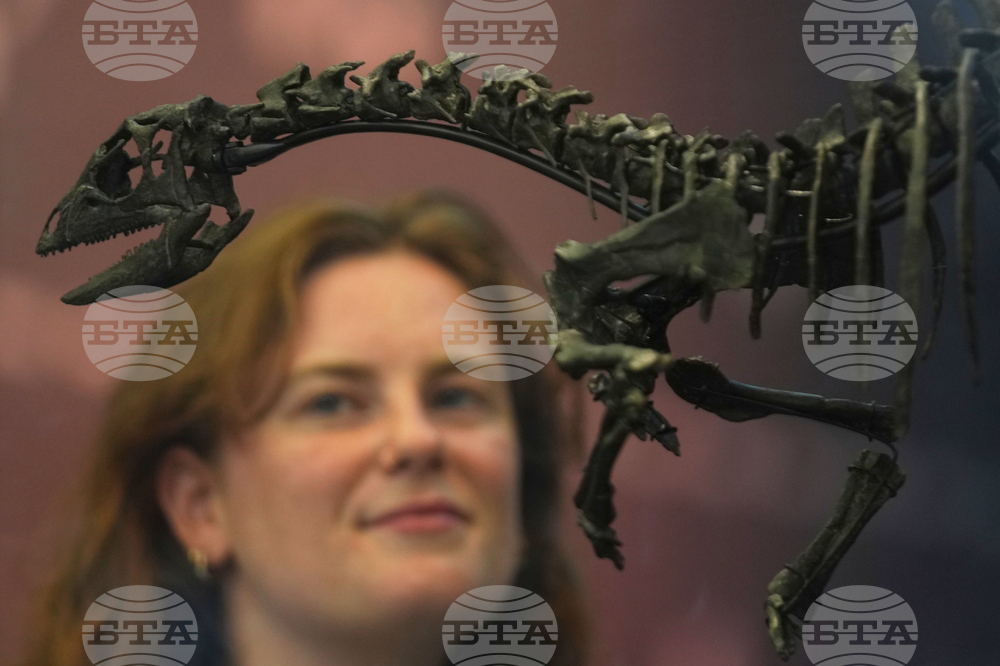 Britain Dinosaur