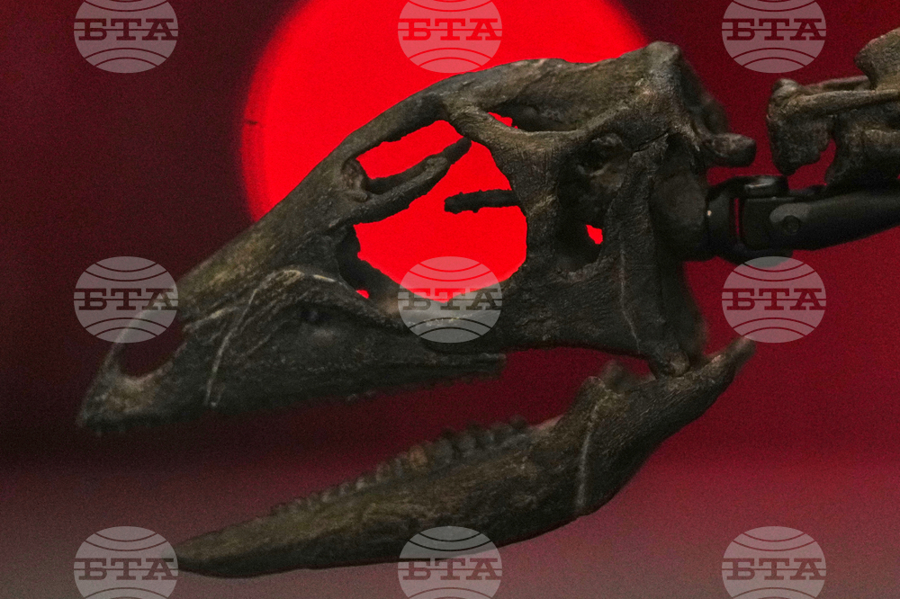 Britain Dinosaur