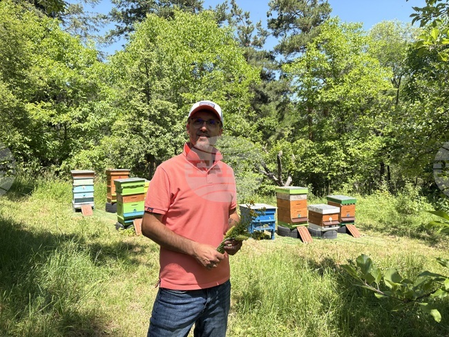 Билките са неразделна част от нашите традиции, фолклор и ежедневие, каза Георги Прасков от Самоков, който отглежда около 50 вида билки