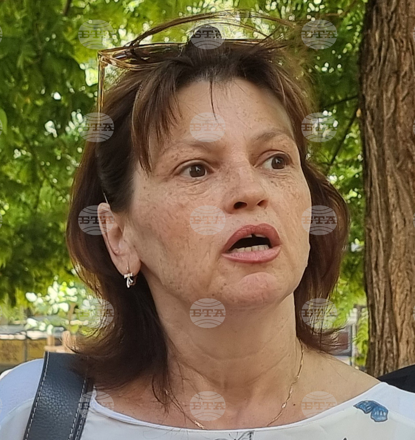 Варна - градина - санитарна сеч
