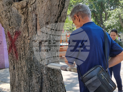 Варна - градина - санитарна сеч