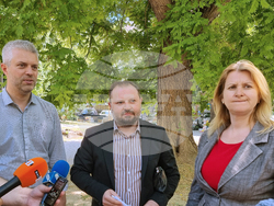 Варна - градина - санитарна сеч