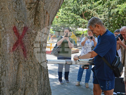 Снимка: Община Варна