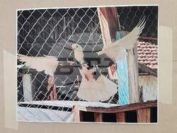 Монтана – изложба – фотография - 3