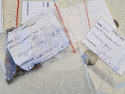 Сливен - археология - златна монета