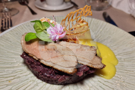 Румъния - Огра - замък