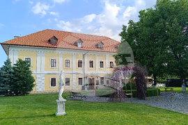 Румъния - Огра - замък