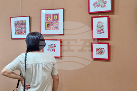 Чипровци - Светлана Костова - изложба