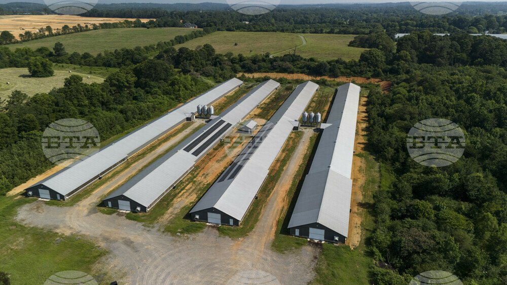 Poultry Farms Georgia