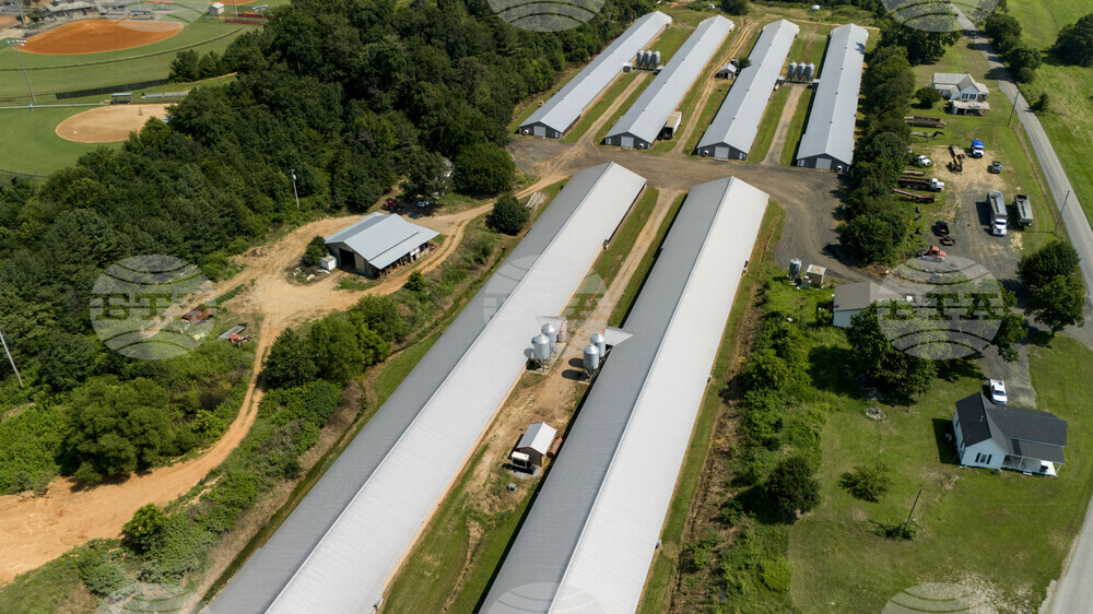 Poultry Farms Georgia