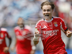 CWC Benfica Bayern Munich Soccer