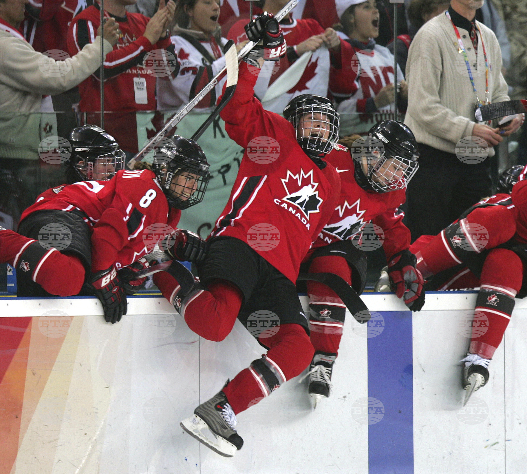 Hall Of Fame Hockey