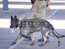 APTOPIX CWC ES Tunisie v Chelsea Soccer