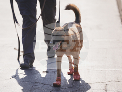 CWC ES Tunisie v Chelsea Soccer