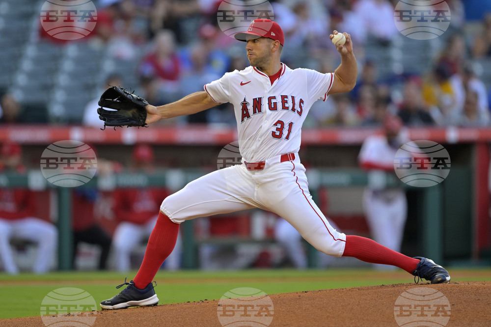 Red Sox Angels Baseball