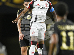 CWC LAFC Flamengo Soccer