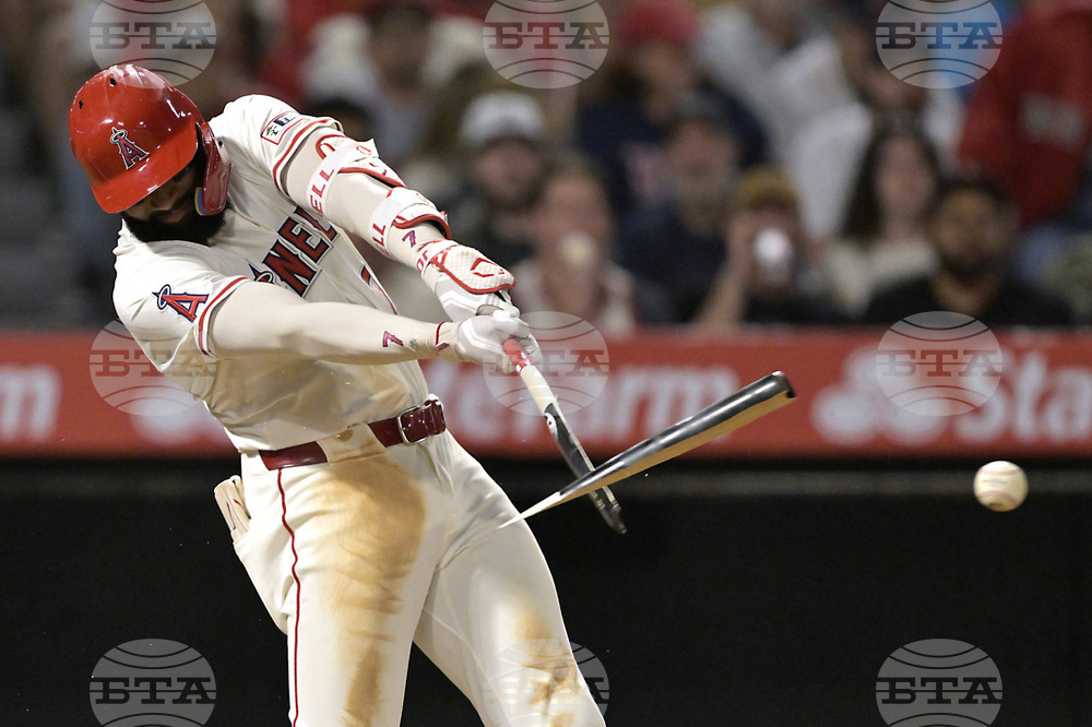 Red Sox Angels Baseball