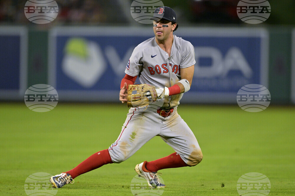 Red Sox Angels Baseball