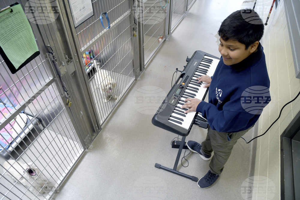 Shelter Animals Music Therapy