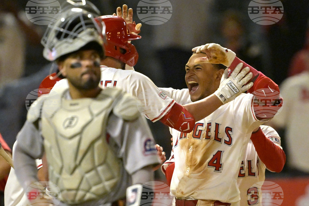 Red Sox Angels Baseball