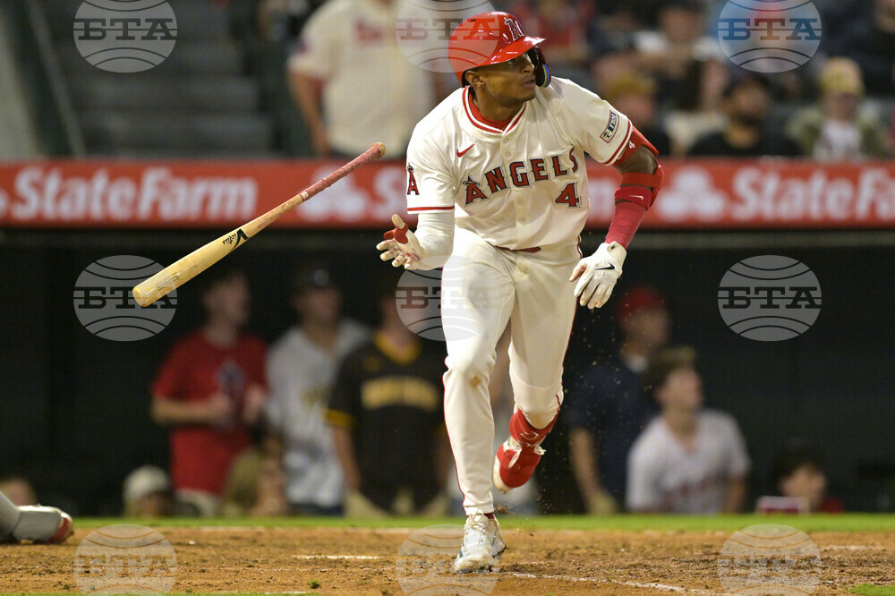 Red Sox Angels Baseball