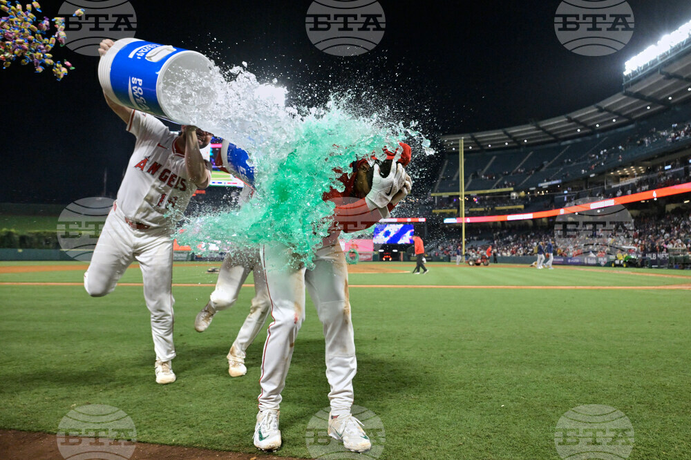 Red Sox Angels Baseball