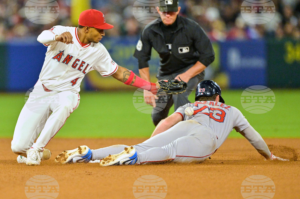 Red Sox Angels Baseball