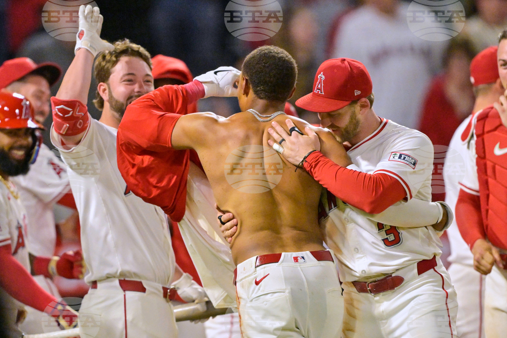 Red Sox Angels Baseball