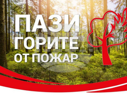 Снимка: Регионална дирекция “Пожарна безопасност и защита на населението“ – Разград