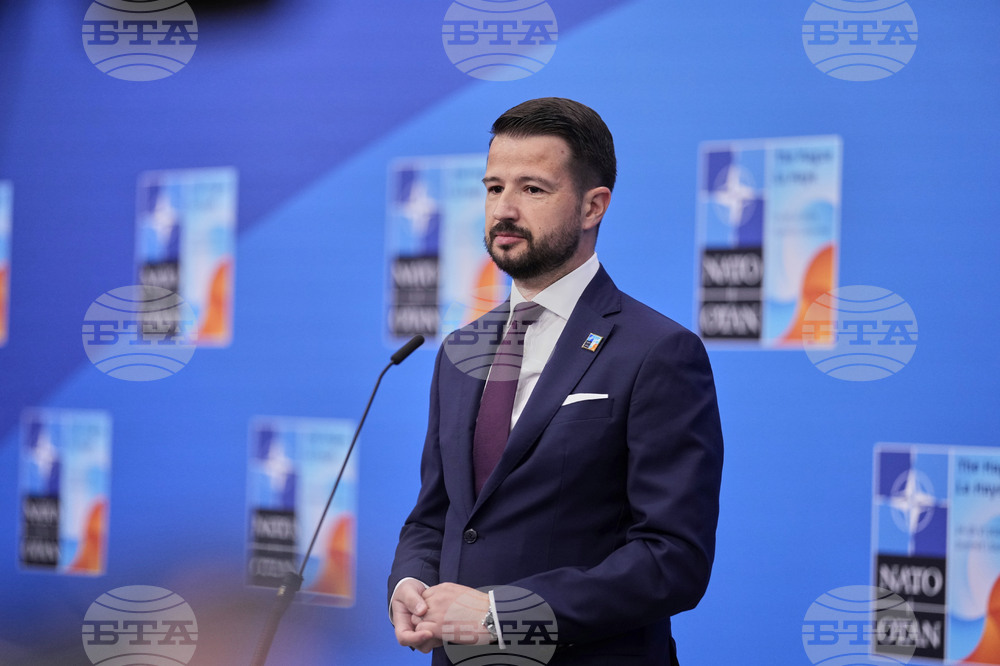 МИНА: Черногорските институции да поискат международна помощ за гасенето на пожарите в страната, призова черногорският президент