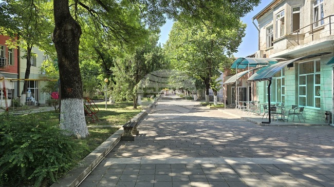 Намаление на криминалните престъпления отчита полицията в Мизия 